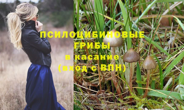 трава Волоколамск