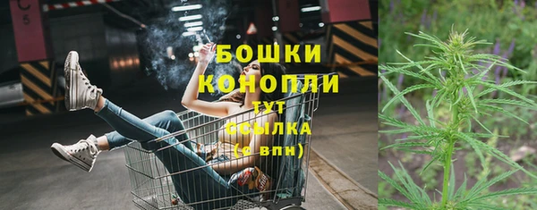 ПСИЛОЦИБИНОВЫЕ ГРИБЫ Богородицк